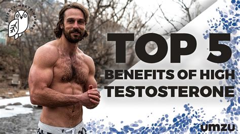 when was testosterone discovered